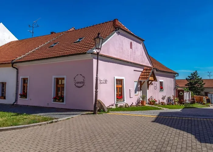 Lavander * Mikulov