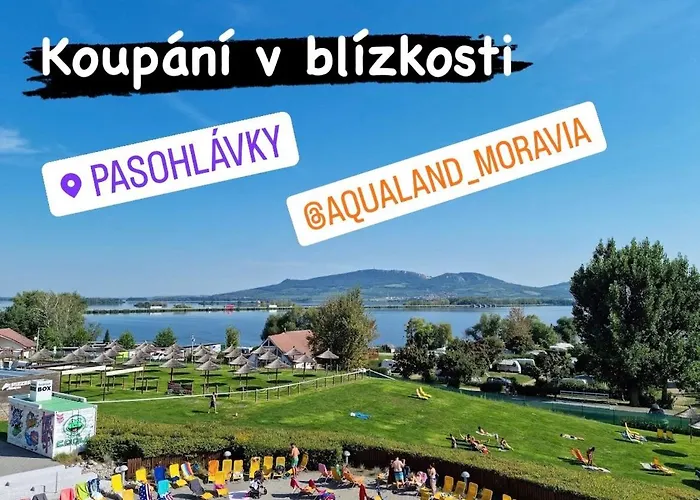 Lavander * Mikulov